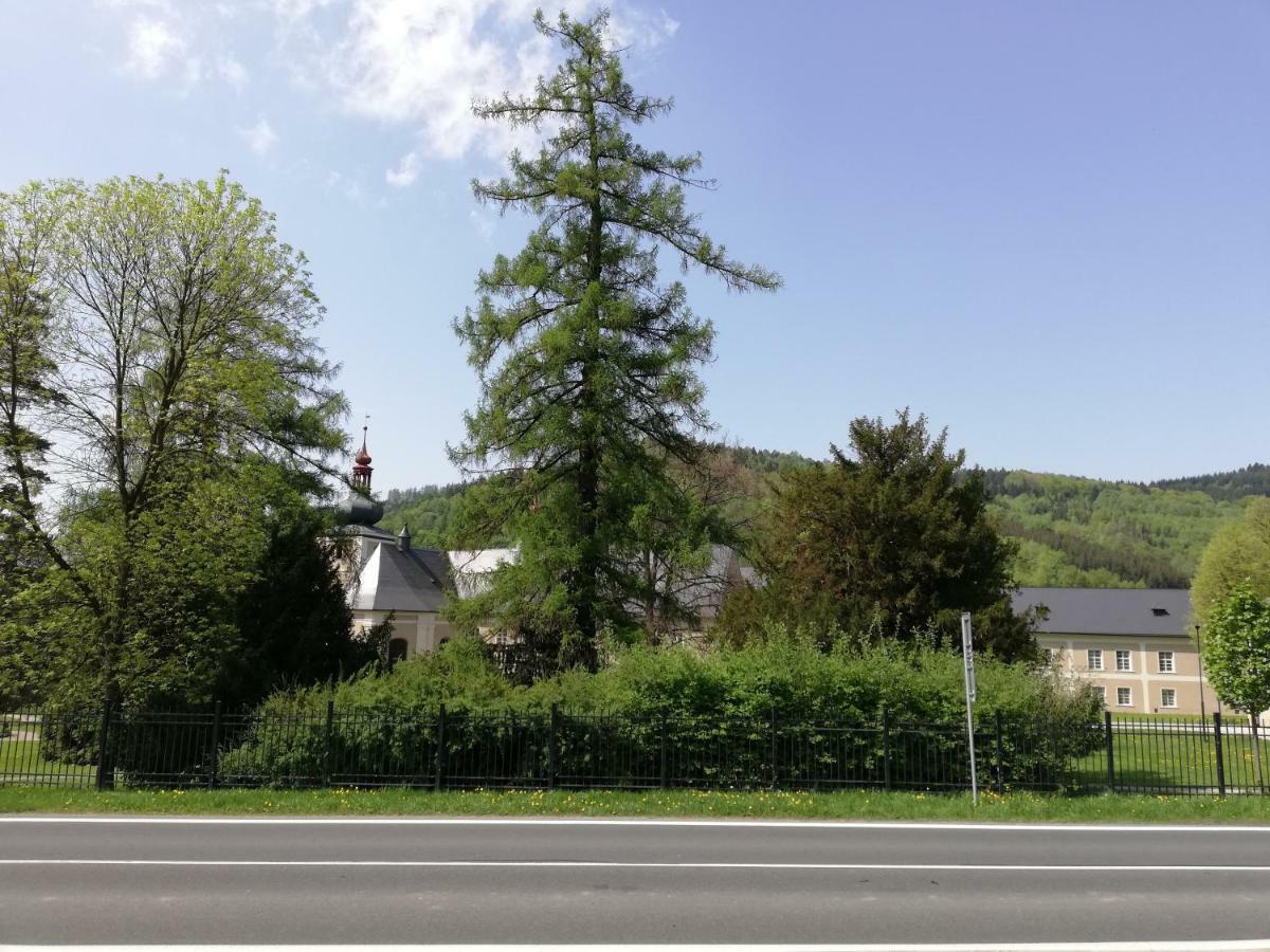 Apartman U Zamku Loučná nad Desnou Buitenkant foto
